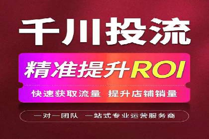 实战经验分享：SEO与SEM优化案例精选